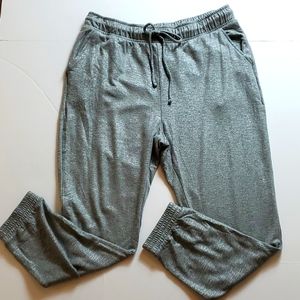 Express silver jogger large sweatpants